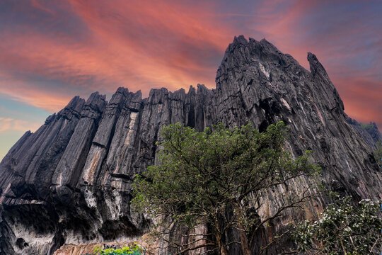 360 f 545107402 lw1mgfro71fjbuk9werzasb6zh05wova